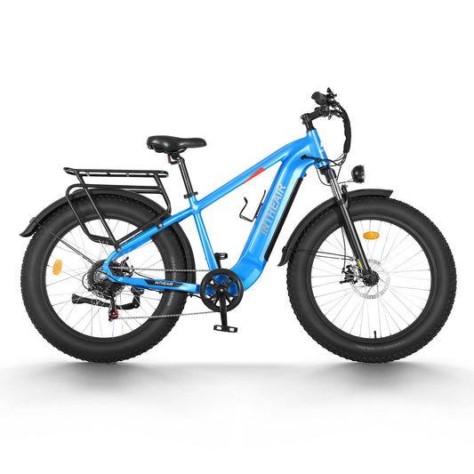 Intheair Bears Ebike | All-terrain Electric Fat Tire bike