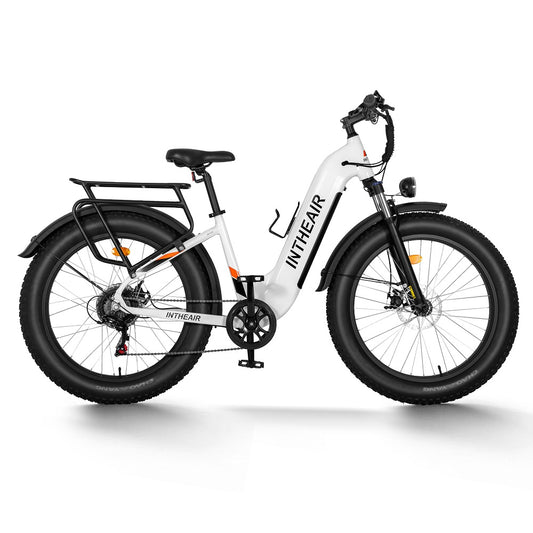 Best Fat Tire Electric Bikes, All Terrain Ebikes For Adults | INTHEAIR